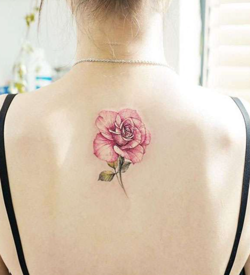 Hình xăm hoa hồng ở lưng hợp với nữ tuổi kỷ mùi